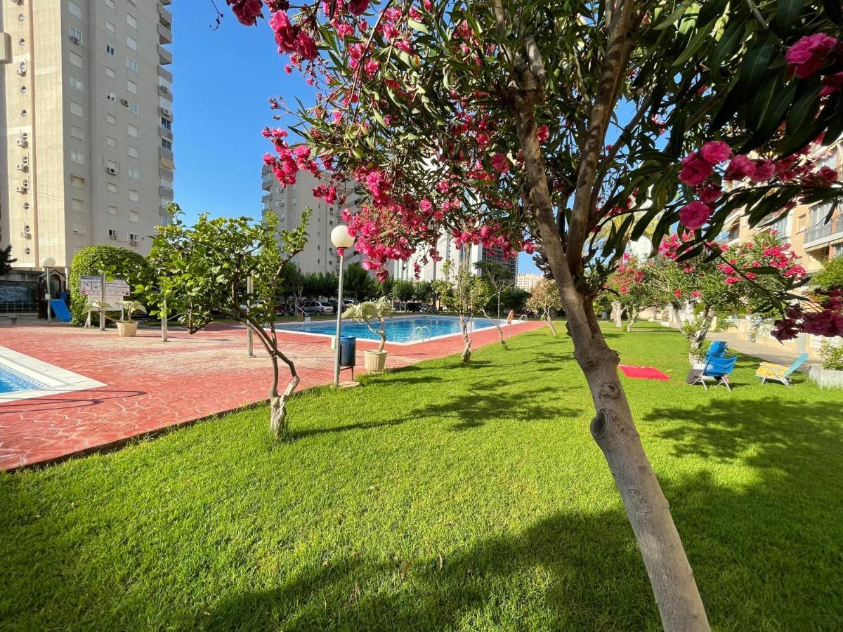 Beach Studio Apartment Hannibal La Cala Finestrat Бенидорм Экстерьер фото