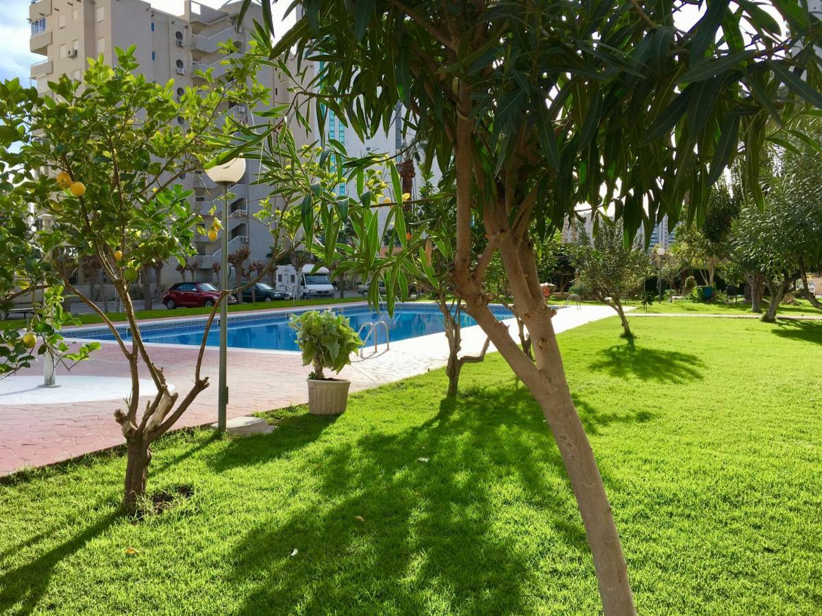 Beach Studio Apartment Hannibal La Cala Finestrat Бенидорм Экстерьер фото